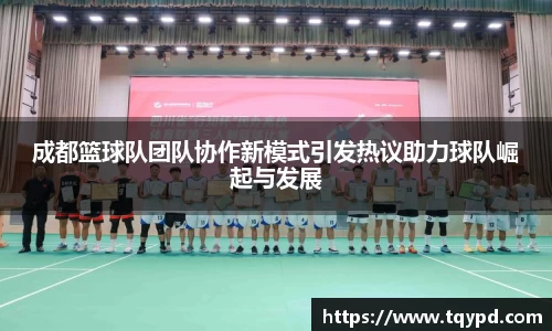 成都篮球队团队协作新模式引发热议助力球队崛起与发展